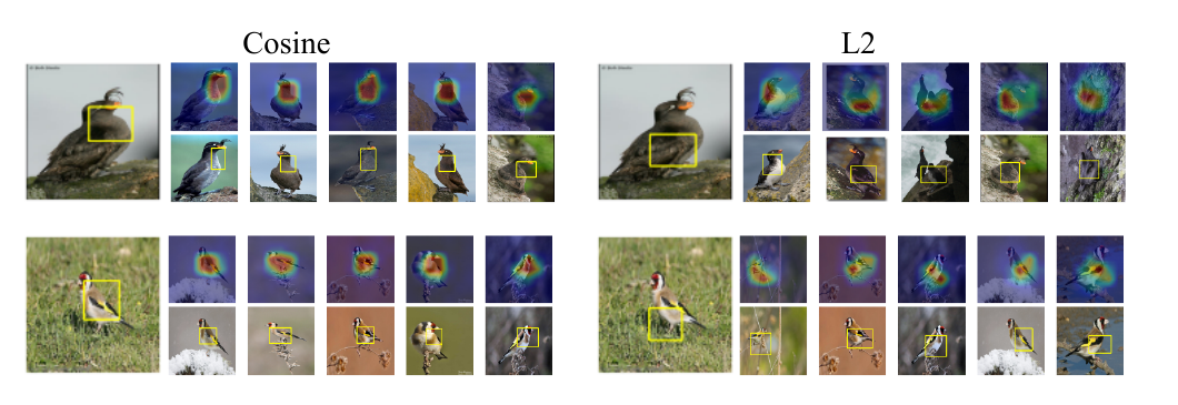 cosine_similarity.png